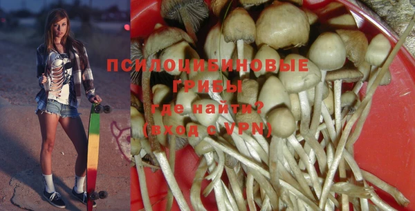 твердый Абинск