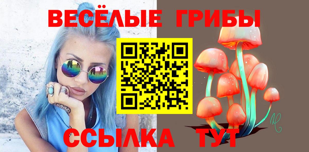 Псилоцибиновые грибы Psilocybine cubensis Уварово